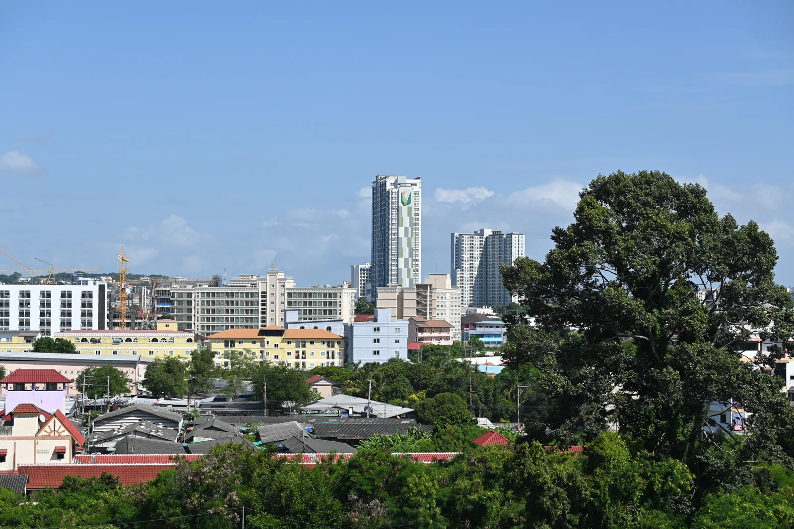 City skyline rises above low buildings and dense green trees