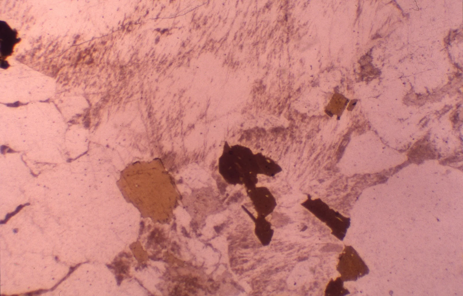 Thin section of porphyritic granite: large blocky feldspar phenocrysts set in a much finer groundmass of smaller grains.