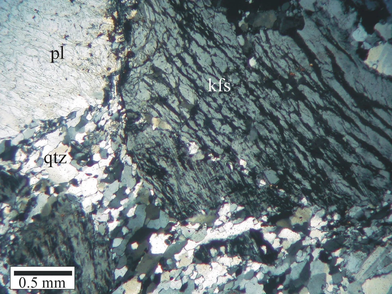 Photomicrograph of a granite thin section: one large feldspar crystal threaded with fine perthite lamellae, ringed by smaller interlocking quartz grains.